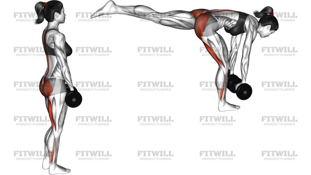Dumbbell Single Stiff Leg Deadlift