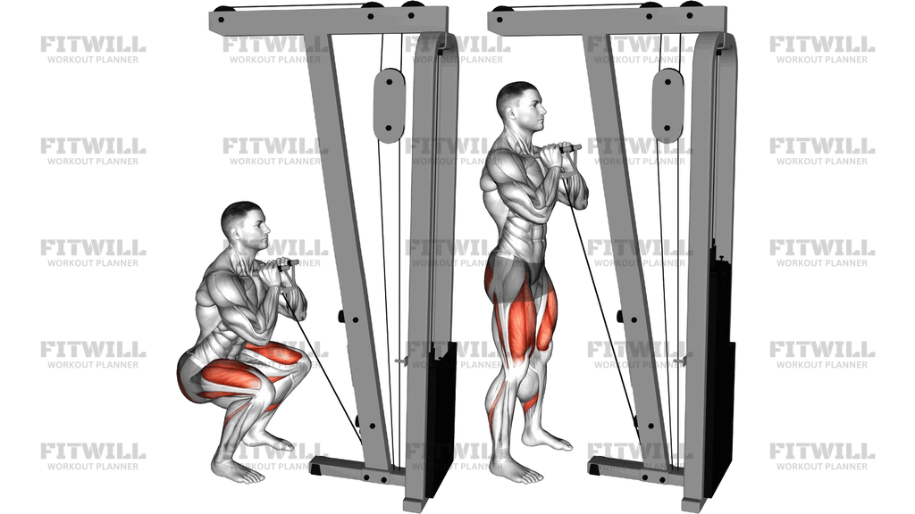 Cable Front Squat With V Bar
