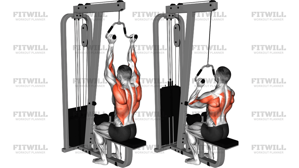 Cable Neutral Grip Lat Pulldown