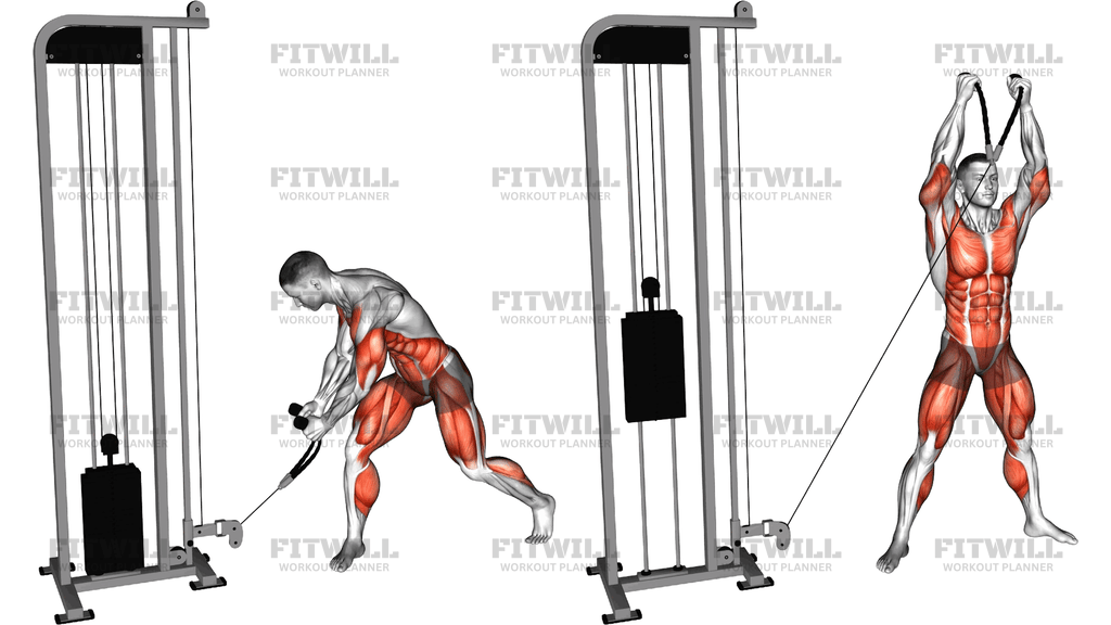 Twist Turn Lift