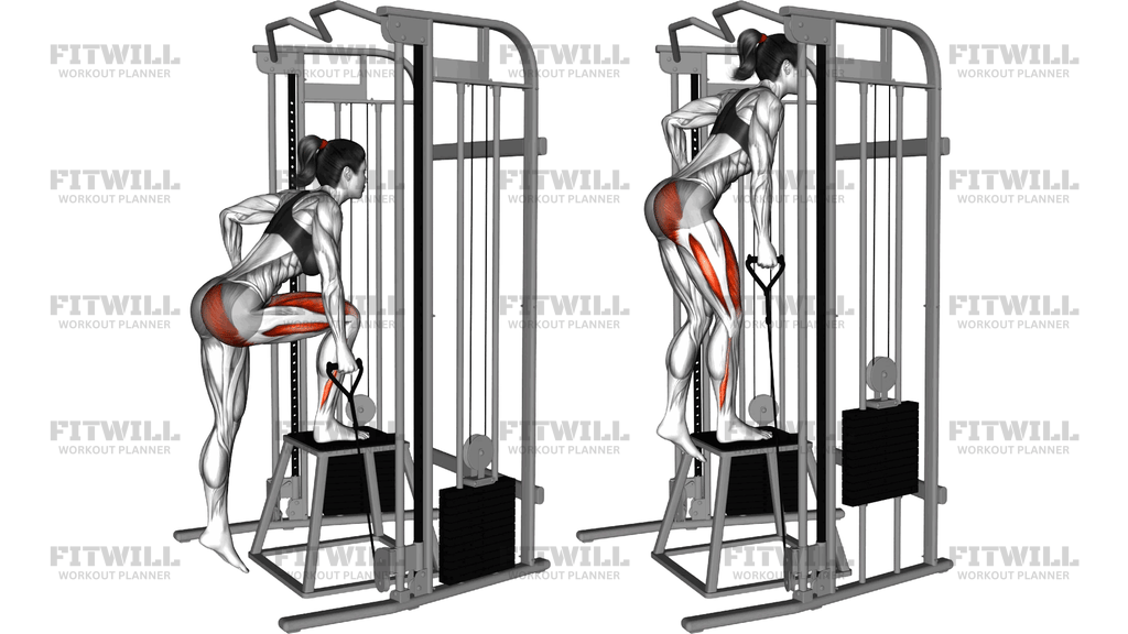 Kabelgestütztes Seitengleiches Step-Up Mit Gluteus-Betonung