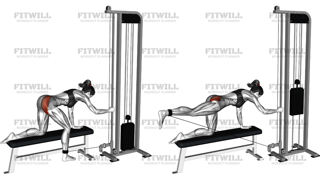 Cable Kneeling Glute Kickback