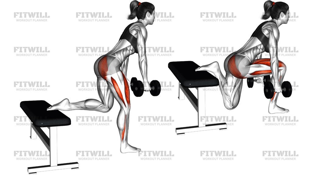 Dumbell Glute Dominant Bulgarian Split Squat