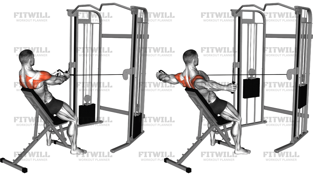 Cable Incline Rear Delt Fly With Back Support