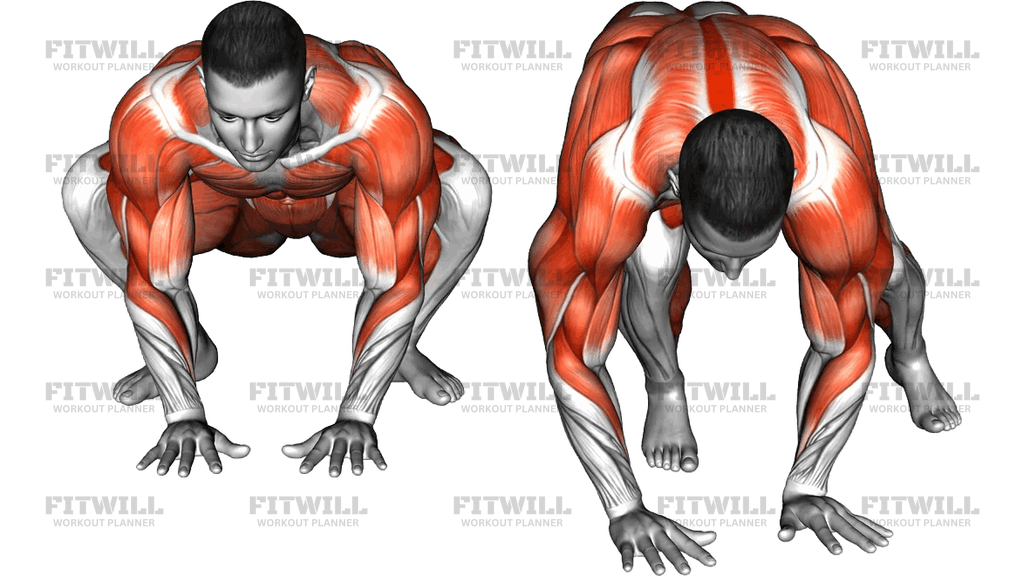 Ape Traverse
