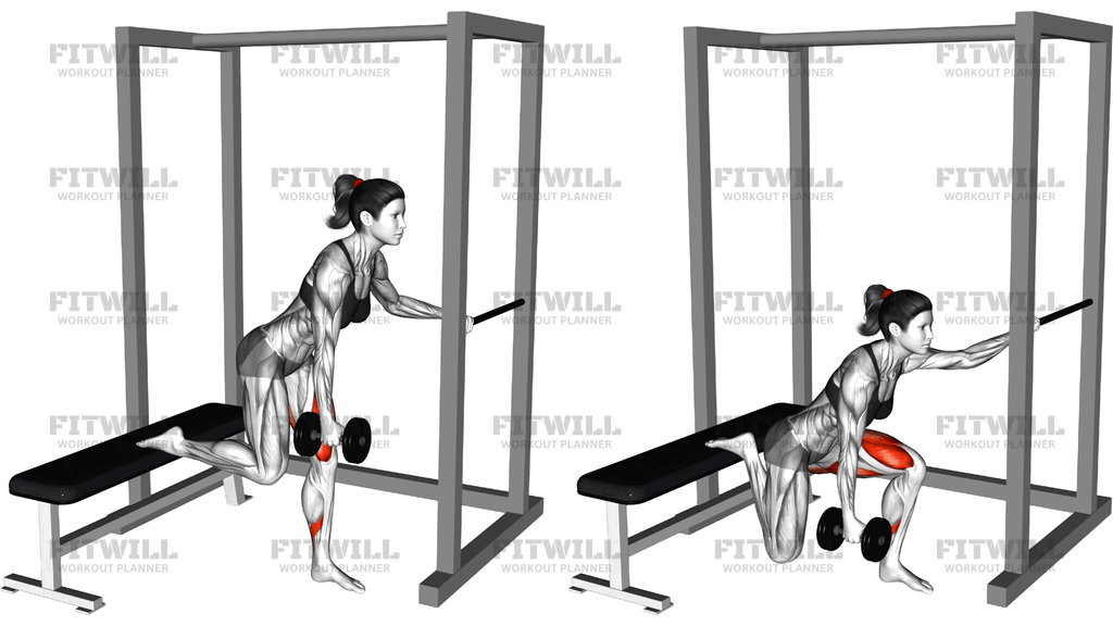 Dumbell Contralateral Glute Dominant Bulgarian Spl