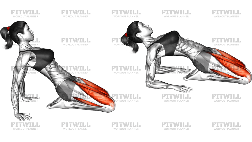 Kneeling Quadriceps Stretch