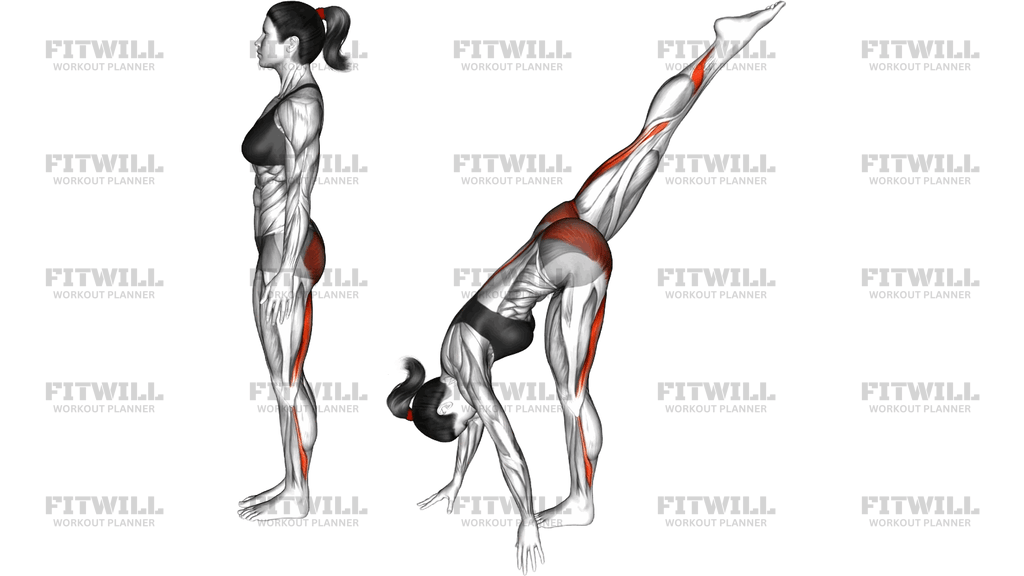 Standing Split Yoga Pose Urdhva Prasarita Eka Pada