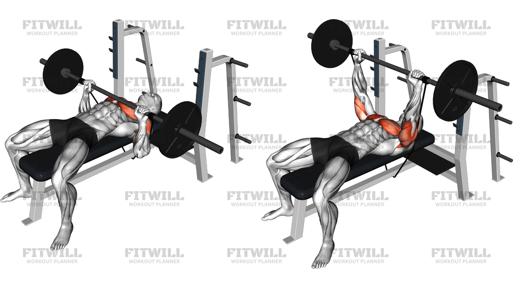 Bench Press Med Stang Og Elastik