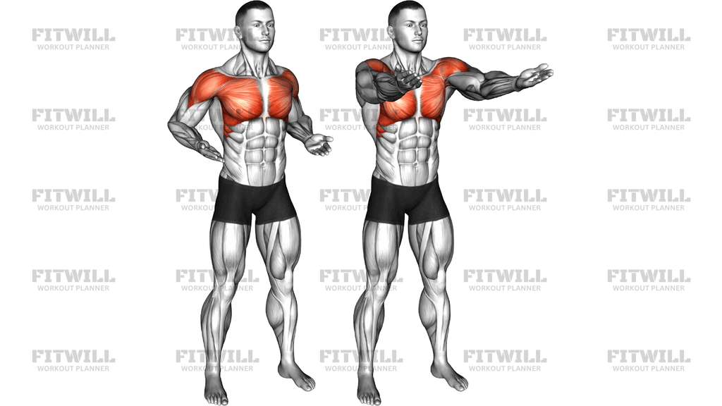 Criss Cross Upper Chest Raise