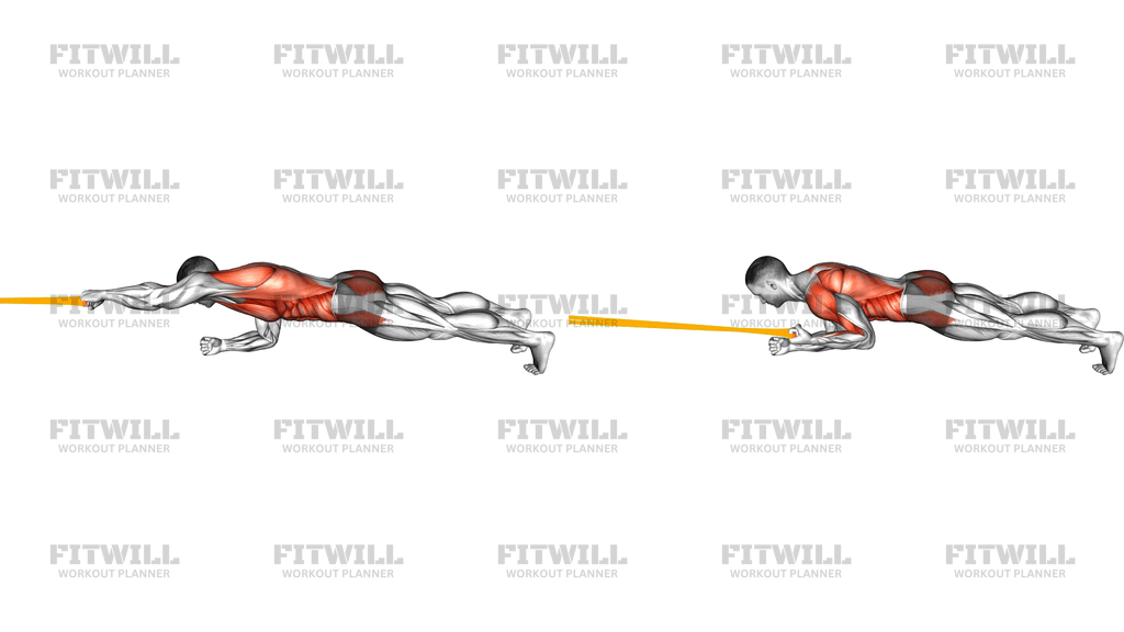 Resistance Band Elbow Plank With Single Arm Pulldo