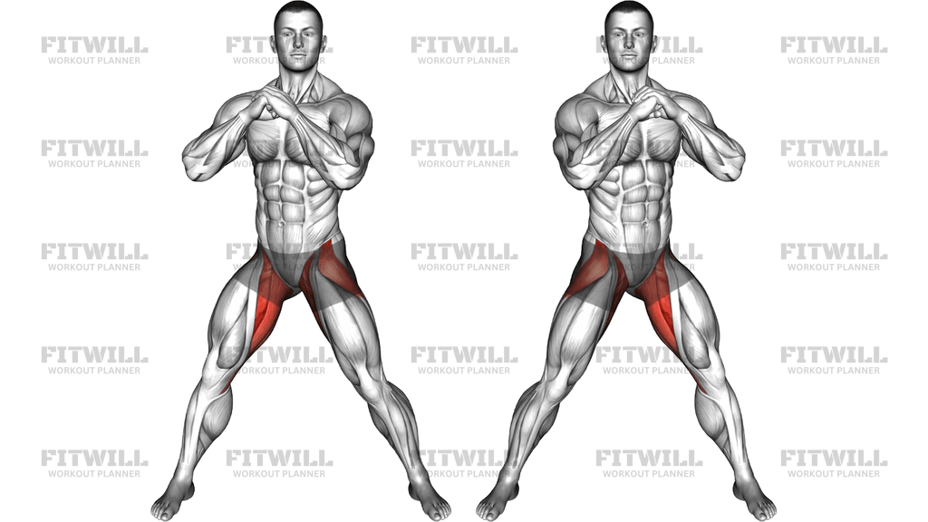 Adductors Stretch Transverse Plane