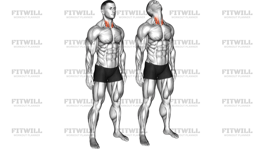 Backward Neck Stretch