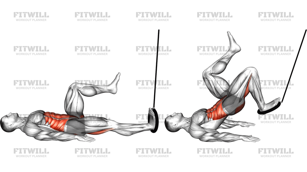 Ring Single Leg Curl (Version 2)