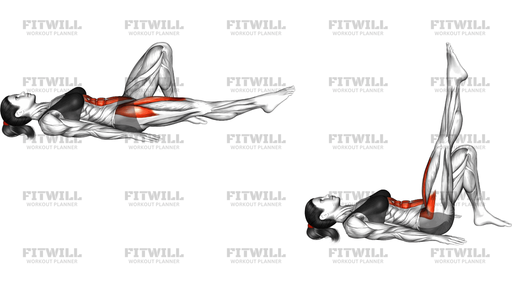 Lying Single Leg Lift