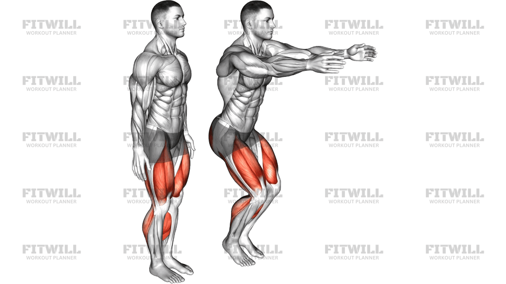 Squat And Tip Toes