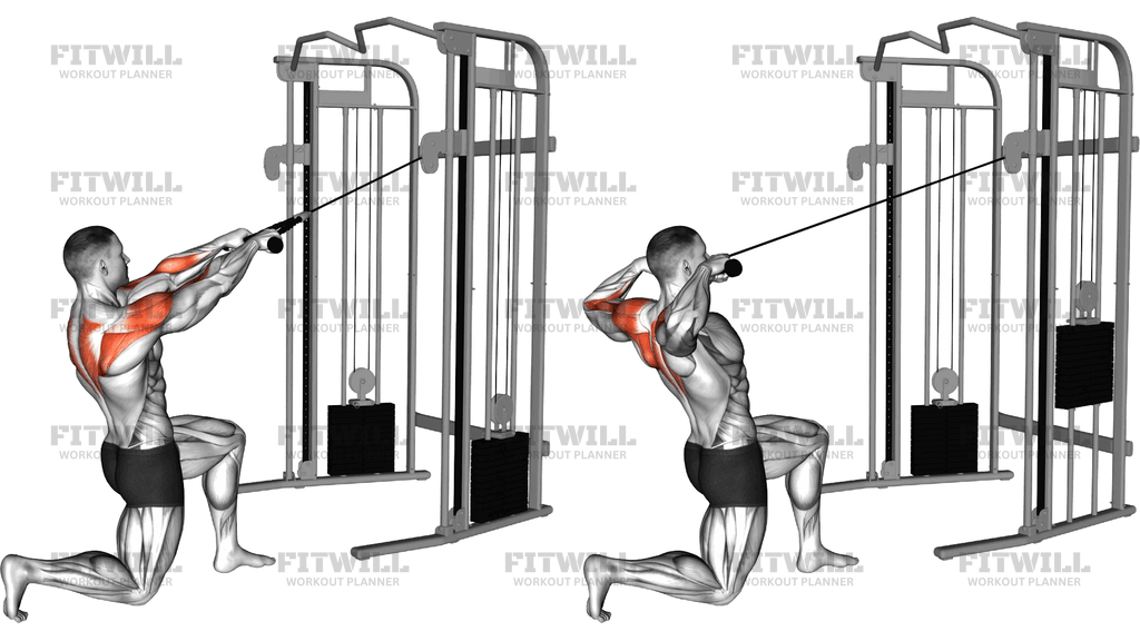 Cable Half Kneeling Face Pull