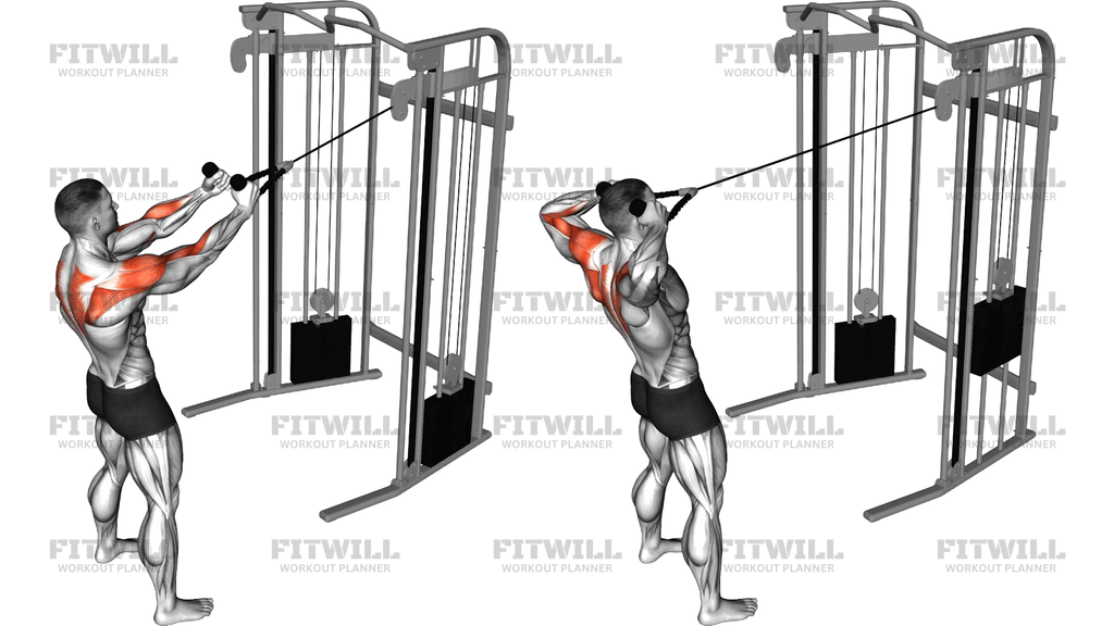 Cable Standing Supinated Face Pull (With Rope)