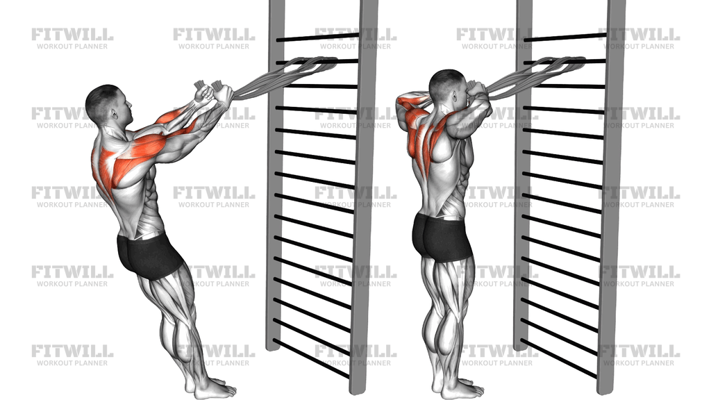 Standing Supinated Face Pull (With Towels)