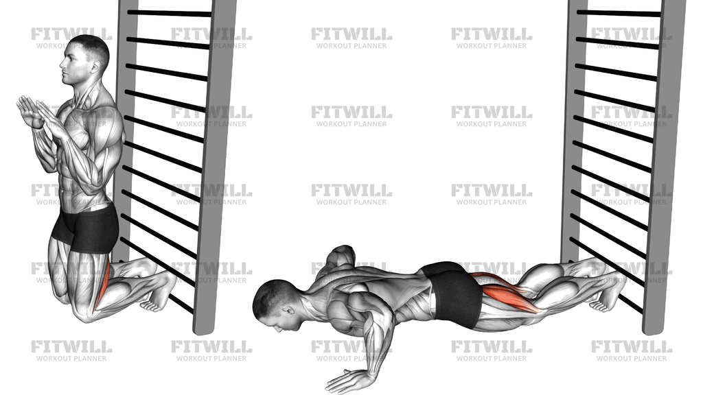 Nordic Hamstring Curl