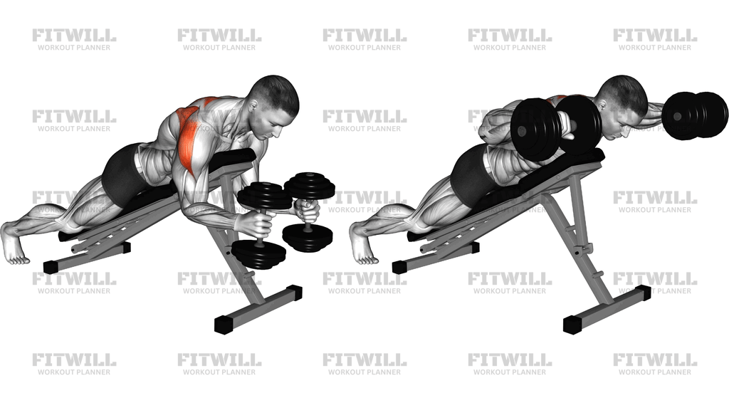 Dumbbell Prone W Raise