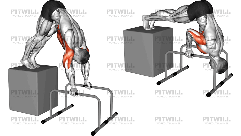 Elevanted Pike Push Up From Deficit With Parallett