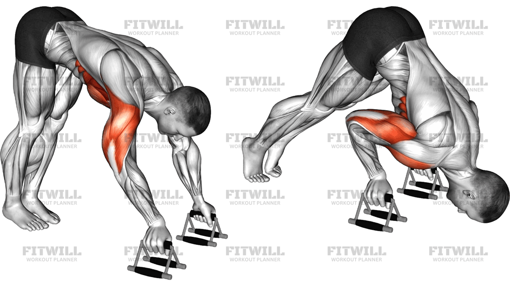 Pike Push Up With Parallettes