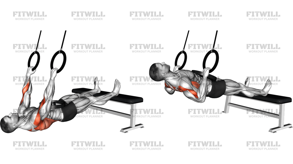 Ring Weighted Pronated Grip Inverted Row