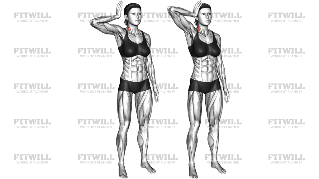 Standing Spine Imbalance And Forward Head Posture