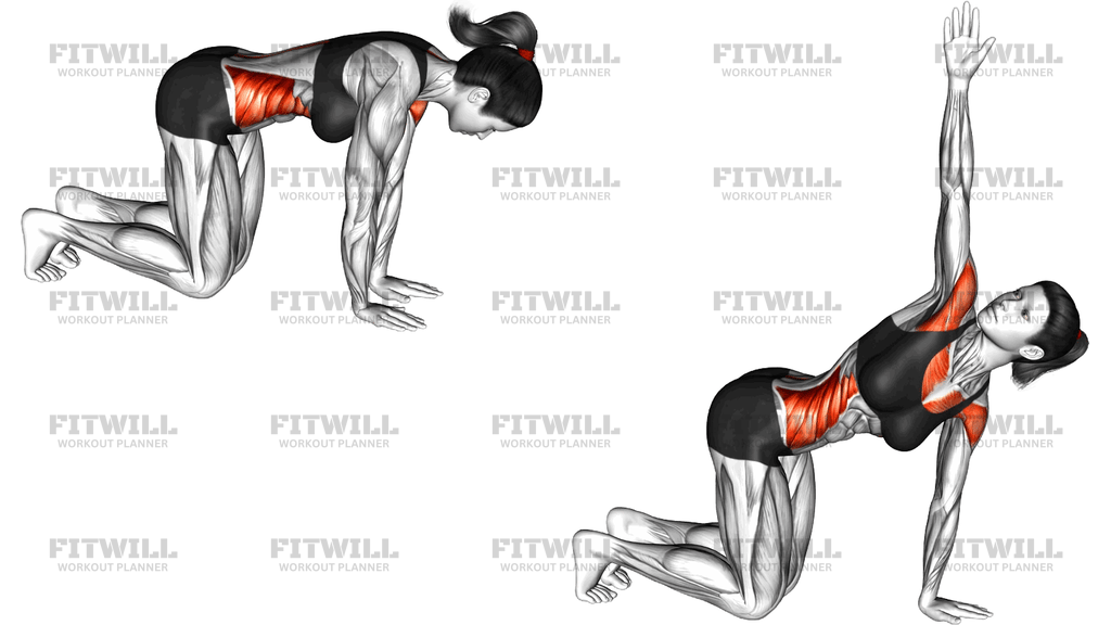 Kneeling Back Rotation Stretch