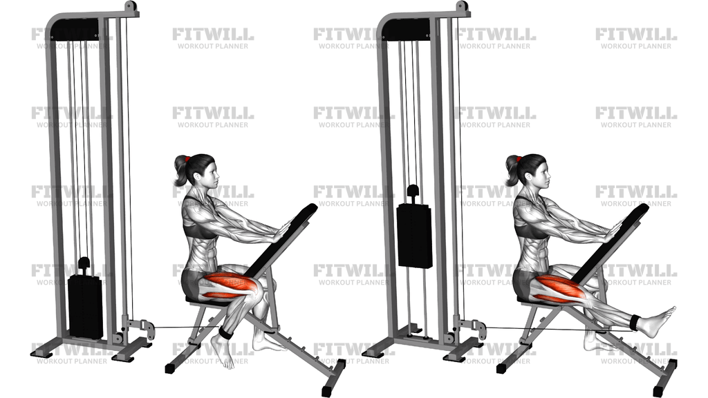 Cable Seated Single Leg Extension