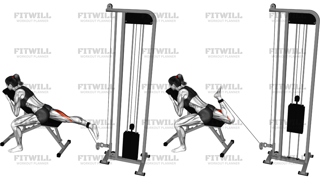 Cable Supported Single Leg Hamstrings Concentratio