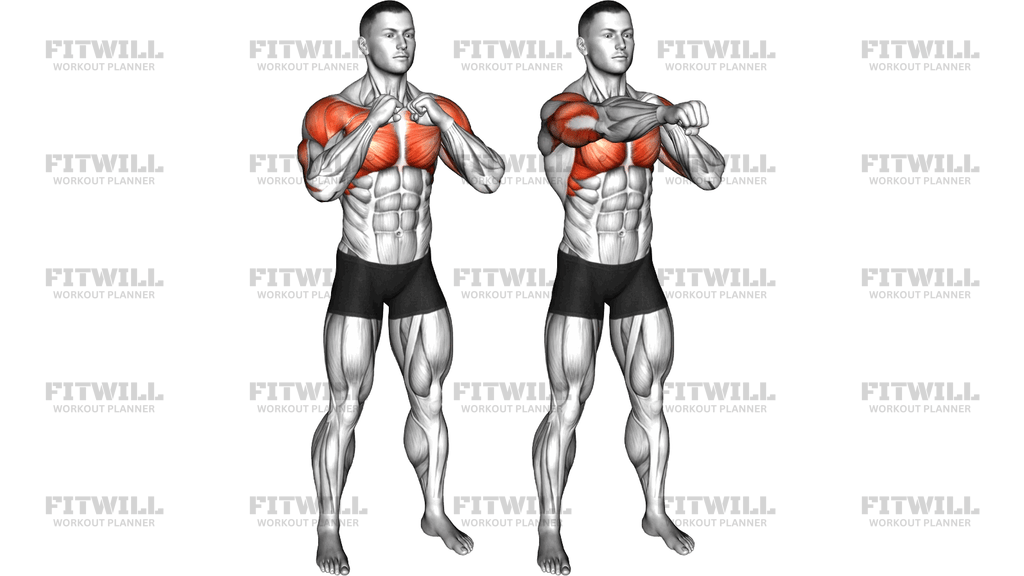 Standing Top To Forward Punches