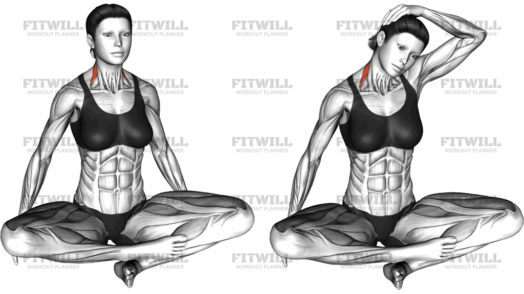 Seated Neck Side Stretch