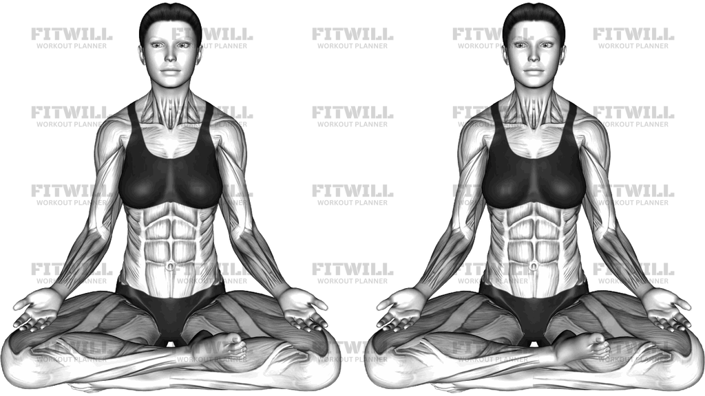 Easy Yoga Pose