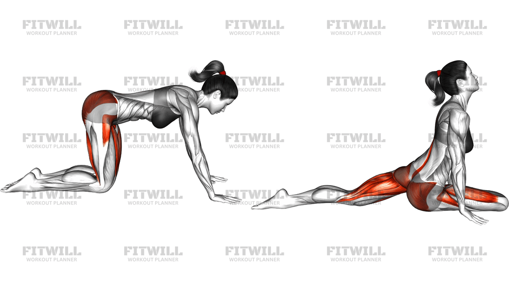 Sleeping Swan Yoga Pose