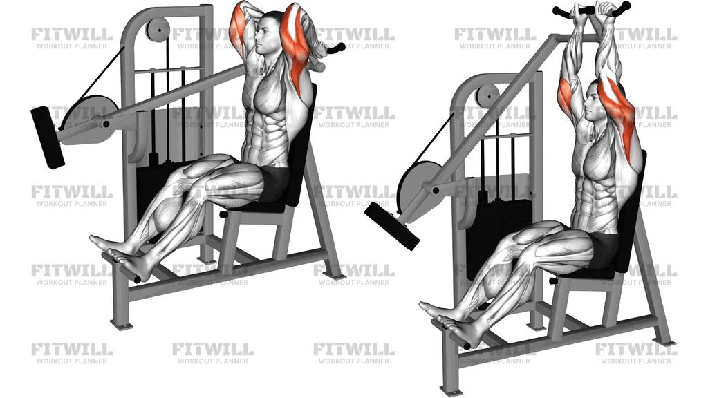 Lever Overhead Triceps Extension