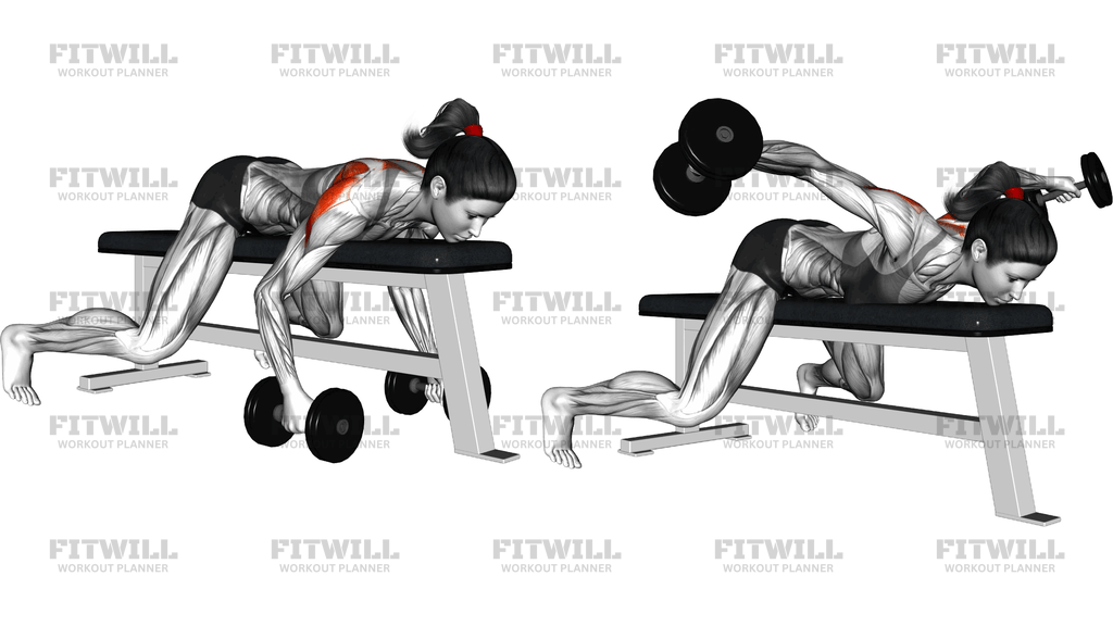 Dumbbell Lying Rear Lateral Raise
