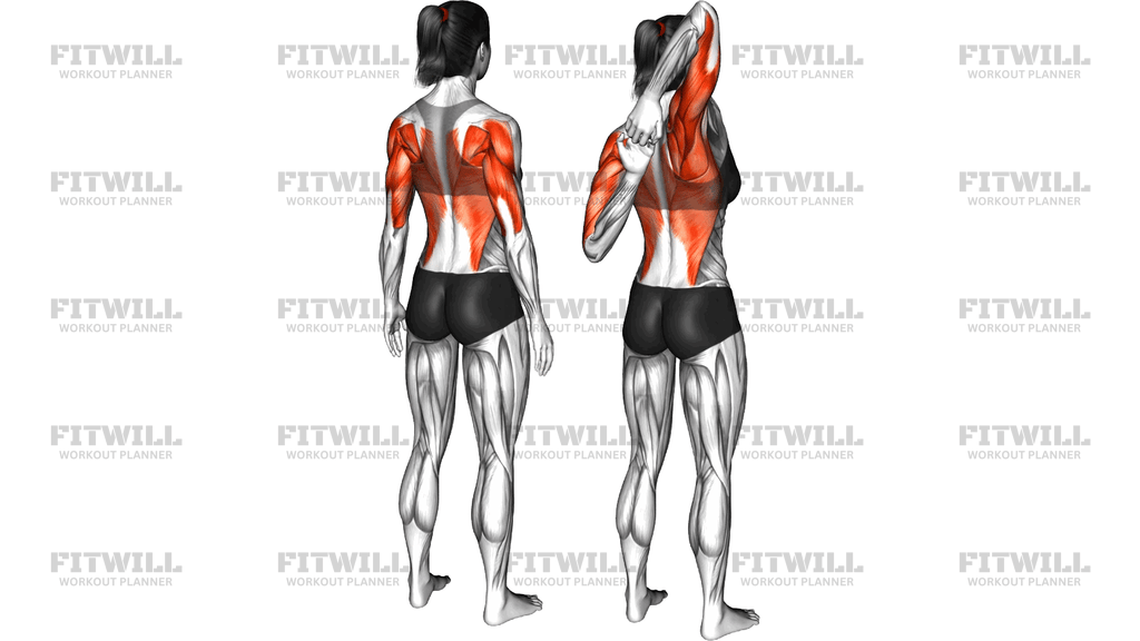 Shoulder Stretch Behind The Back