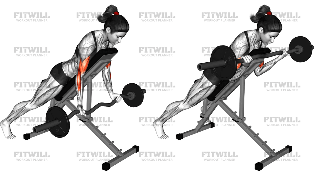 Ez Barbell Spider Curl