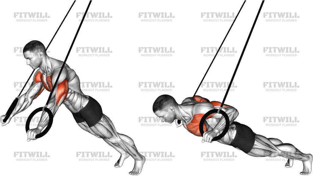 Ring Incline Push Up