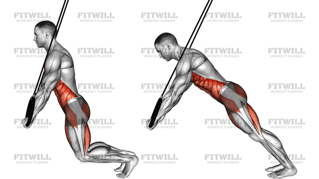 Ring Incline Plank