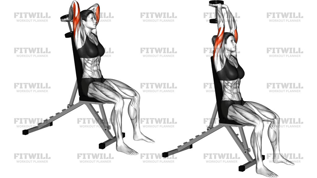 Dumbbell Seated Triceps Extension (Version 2)