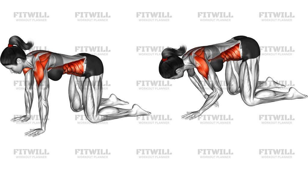 Kneeling Rotation Torso Rear Fly To Thread Through
