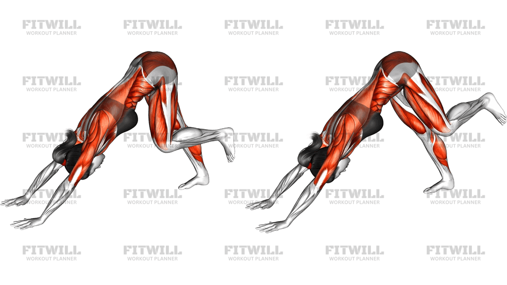 Downward Dog Hip Circle