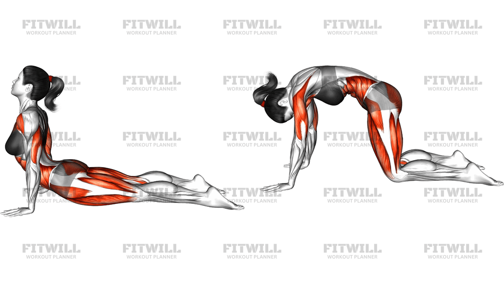 Cobra To Child Pose