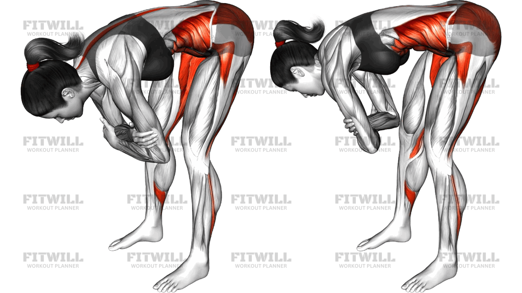 Forward Fold And Rock