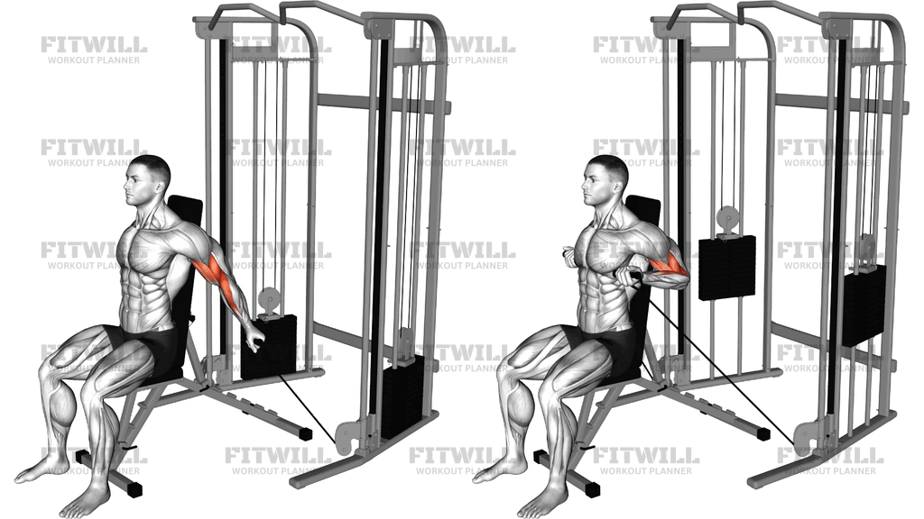 Jednoruční Bicep Curl Na Kladce V Sedě