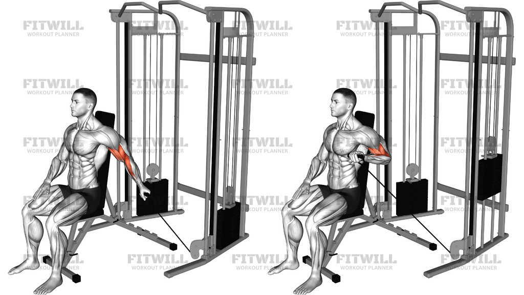 Cable Seated Single Arm Unilateral Bicep Curl
