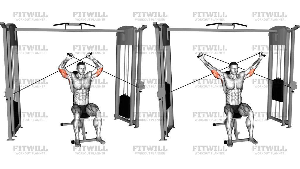 Cable Seated High Triceps Extension